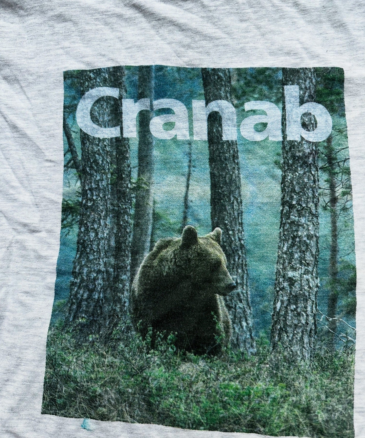 VINTAGE BEAR T-SHIRT singel stitched (SIZE M)