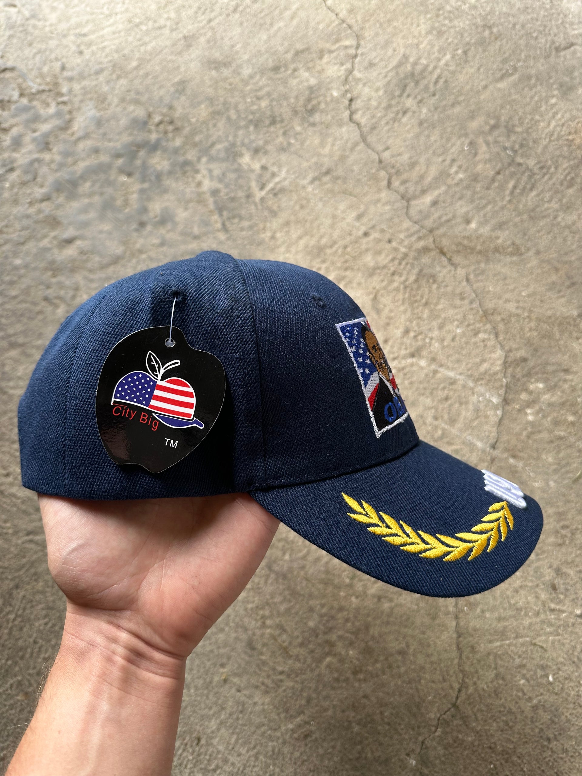 2012 Obama Presidential Campaign Hat | USA Cap
