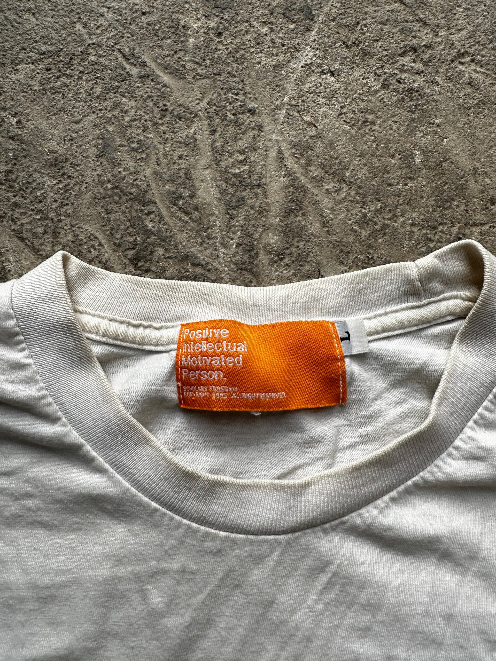 Y2K Positive Intellectual Motivated Person Japanese Style Tee | Size M/L